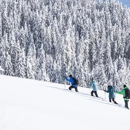 In Zillertal Near Spieljochbahn